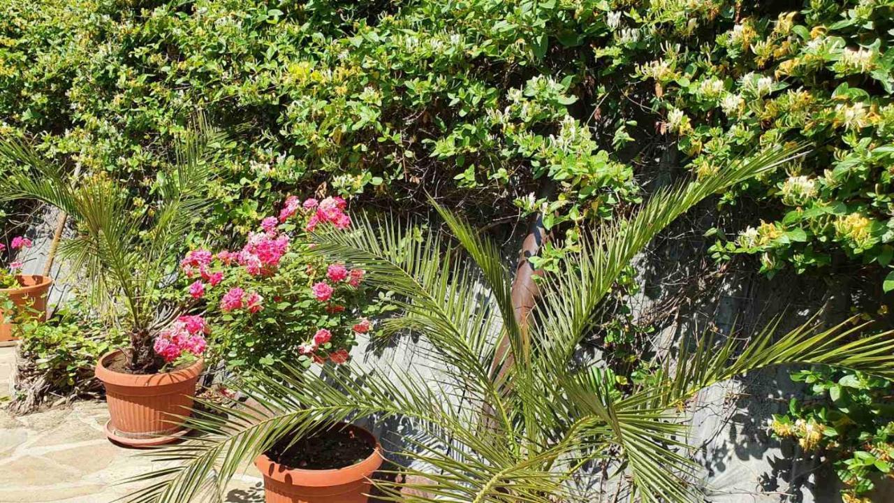 Marianas Guesthouse Obzor Esterno foto